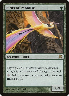 naokuroshop MTG [10E][252][緑][R][EN][極楽鳥/Birds of Paradise] NM