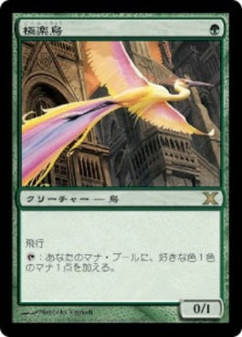 naokuroshop MTG [10E][252][緑][R][JP][極楽鳥/Birds of Paradise] NM