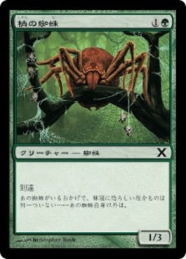 naokuroshop MTG [10E][254][緑][C][JP][梢の蜘蛛/Canopy Spider] NM