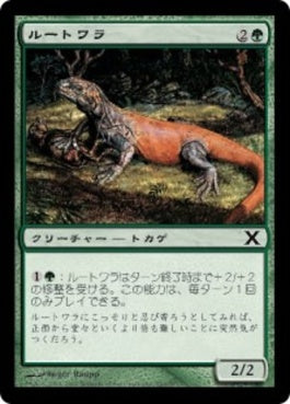 naokuroshop MTG [10E][293][緑][C][JP][ルートワラ/Rootwalla] NM