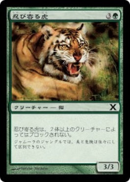 naokuroshop MTG [10E][299][緑][C][JP][忍び寄る虎/Stalking Tiger] NM