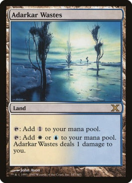 naokuroshop MTG [10E][347][土地][R][EN][アダーカー荒原/Adarkar Wastes] NM