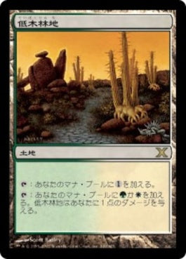 naokuroshop MTG [10E][349][土地][R][JP][低木林地/Brushland] NM