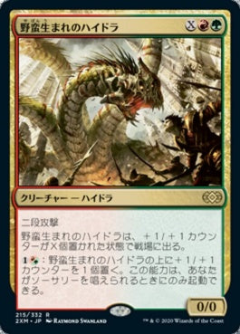 naokuroshop MTG [2XM][215][多][R][JP][野蛮生まれのハイドラ/Savageborn Hydra] NM