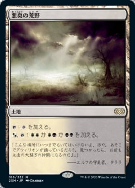 naokuroshop MTG [2XM][316][土地][R][JP][悪臭の荒野/Fetid Heath] NM