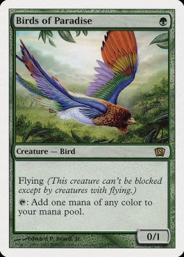 naokuroshop MTG [8ED][233][緑][R][EN][極楽鳥/Birds of Paradise] NM