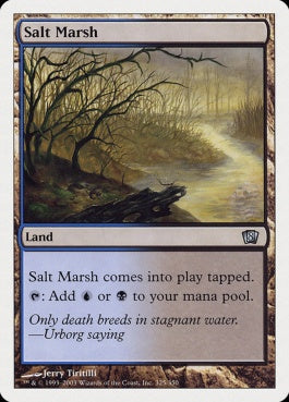 naokuroshop MTG [8ED][325][土地][U][EN][塩の湿地/Salt Marsh] NM