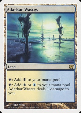 naokuroshop MTG [9ED][317][土地][R][EN][アダーカー荒原/Adarkar Wastes] NM