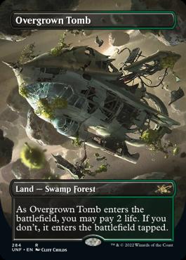 naokuroshop MTG [UNF][284][土][R][EN][草むした墓/Overgrown Tomb]（foil） NM