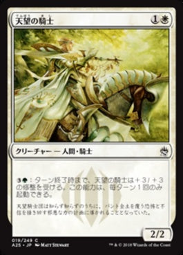 naokuroshop MTG [A25][019][白][C][JP][天望の騎士/Knight of the Skyward Eye] NM