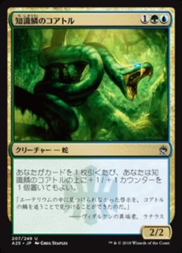 naokuroshop MTG [A25][207][多][U][JP][知識鱗のコアトル/Lorescale Coatl] NM