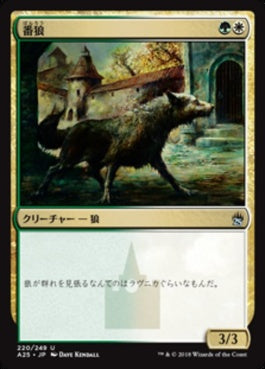 naokuroshop MTG [A25][220][多][U][JP][番狼/Watchwolf] NM