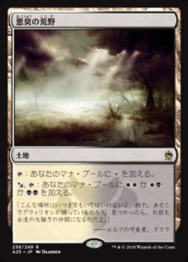 naokuroshop MTG [A25][238][土地][R][JP][悪臭の荒野/Fetid Heath] NM