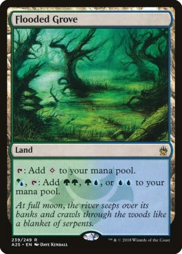 naokuroshop MTG [A25][239][土地][R][EN][溢れかえる果樹園/Flooded Grove] NM