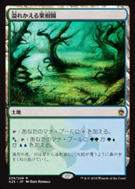 naokuroshop MTG [A25][239][土地][R][JP][溢れかえる果樹園/Flooded Grove] NM