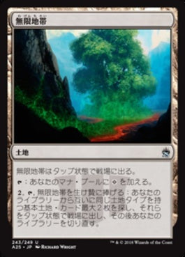 naokuroshop MTG [A25][243][土地][U][JP][無限地帯/Myriad Landscape] NM