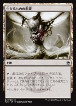 naokuroshop MTG [A25][249][土地][U][JP][生けるものの洞窟/Zoetic Cavern] NM