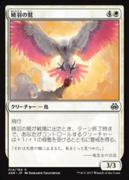 naokuroshop MTG [AER][014][白][C][JP][暁羽の鷲/Dawnfeather Eagle] NM