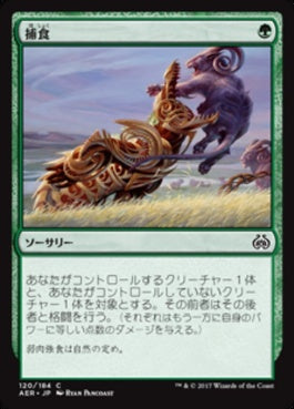 naokuroshop MTG [AER][120][緑][C][JP][捕食/Prey Upon] NM