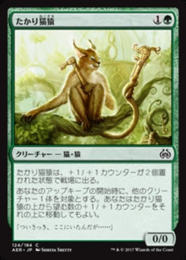 naokuroshop MTG [AER][124][緑][C][JP][たかり猫猿/Scrounging Bandar] NM