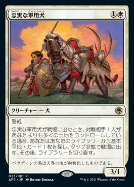 naokuroshop MTG [AFR][023][白][R][JP][忠実な軍用犬/Loyal Warhound]（foil） NM