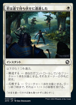 naokuroshop MTG [AFR][043][白][C][JP][君は道で待ち伏せに遭遇した/You're Ambushed on the Road]（foil） NM