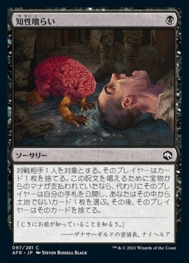 naokuroshop MTG [AFR][097][黒][C][JP][知性喰らい/Devour Intellect]（foil） NM