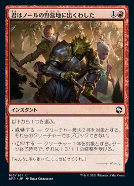 naokuroshop MTG [AFR][168][赤][C][JP][君はノールの野営地に出くわした/You Come to the Gnoll Camp]（foil） NM