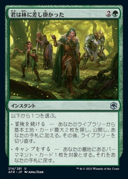 naokuroshop MTG [AFR][214][緑][U][JP][君は林に差し掛かった/You Happen On a Glade]（foil） NM