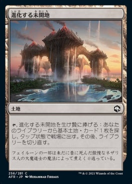 naokuroshop MTG [AFR][256][土地][C][JP][進化する未開地/Evolving Wilds] NM