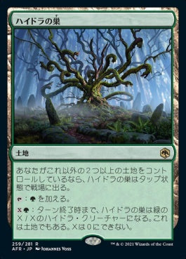 naokuroshop MTG [AFR][259][土地][R][JP][ハイドラの巣/Lair of the Hydra]（foil） NM