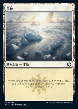 naokuroshop MTG [AFR][262][土地][C][JP][平地/Plains]（foil） NM