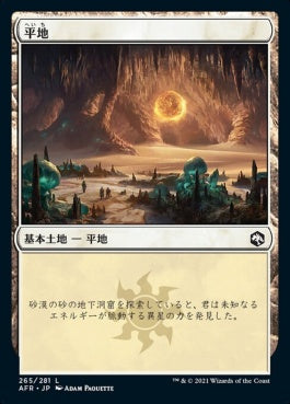 naokuroshop MTG [AFR][265][土地][C][JP][平地/Plains]（foil） NM