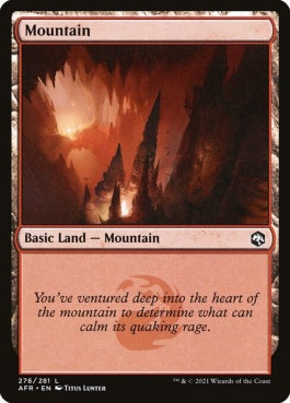 naokuroshop MTG [AFR][276][土地][C][EN][山/Mountain]（foil） NM