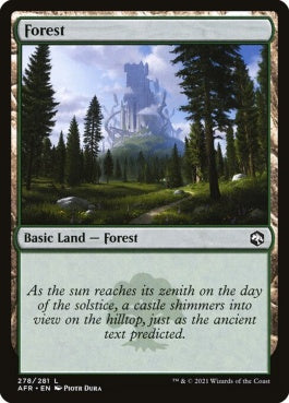 naokuroshop MTG [AFR][278][土地][C][EN][森/Forest] NM