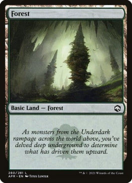 naokuroshop MTG [AFR][280][土地][C][EN][森/Forest]（foil） NM