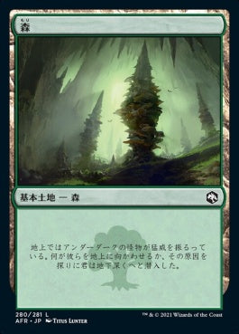 naokuroshop MTG [AFR][280][土地][C][JP][森/Forest] NM