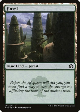 naokuroshop MTG [AFR][281][土地][C][EN][森/Forest] NM