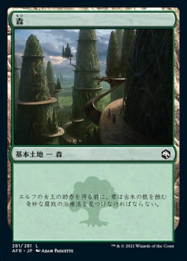 naokuroshop MTG [AFR][281][土地][C][JP][森/Forest]（foil） NM