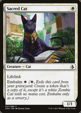 naokuroshop MTG [AKH][027][白][C][EN][聖なる猫/Sacred Cat] NM