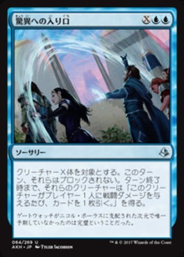 naokuroshop MTG [AKH][064][青][U][JP][驚異への入り口/Open into Wonder] NM