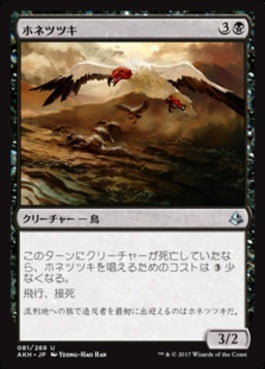 naokuroshop MTG [AKH][081][黒][U][JP][ホネツツキ/Bone Picker] NM