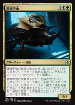 naokuroshop MTG [AKH][197][多][U][JP][潰滅甲虫/Decimator Beetle] NM