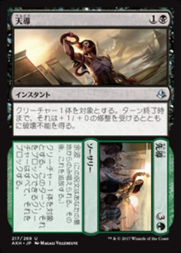 naokuroshop MTG [AKH][217][多][U][JP][天導/Destined] NM