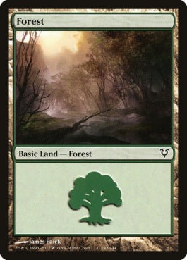 naokuroshop MTG [AVR][242][土地][C][EN][森/Forest] NM