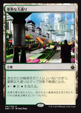 naokuroshop MTG [BBD][081][土地][R][JP][豪勢な大通り/Bountiful Promenade] NM