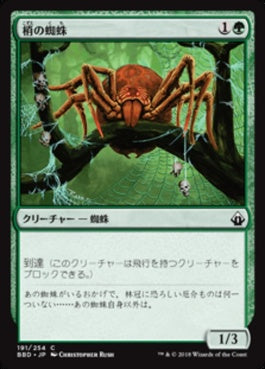 naokuroshop MTG [BBD][191][緑][C][JP][梢の蜘蛛/Canopy Spider] NM