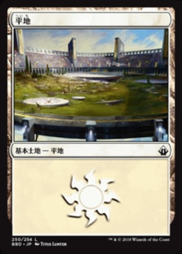 naokuroshop MTG [BBD][250][土地][C][JP][平地/Plains] NM