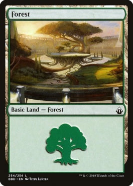 naokuroshop MTG [BBD][254][土地][C][EN][森/Forest] NM