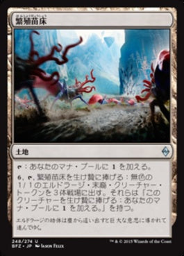 naokuroshop MTG [BFZ][248][土地][U][JP][繁殖苗床/Spawning Bed] NM